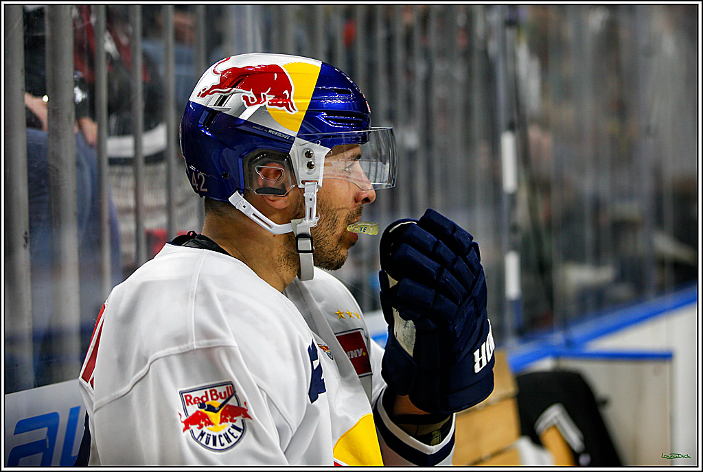PENNY DEL; Koelner Haie- Red BUll Muenchen; Koeln, 08.11.2022